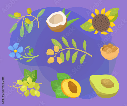 Different cooking oil ingredients vector illustrations set. Collection of drawings of coconut, avocado, apricot, olives, grapes on purple background. Organic food, nutrition, diet concept