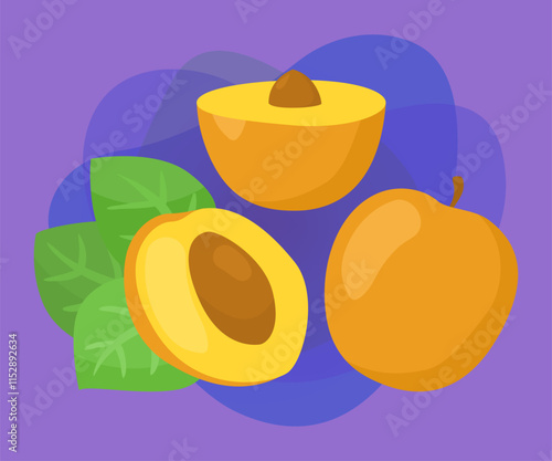 Whole and cut apricots vector illustrations set. Collection of cartoon drawings of orange fruit with leaf and seed on purplebackground. Food, fruit, nutrition, diet concept