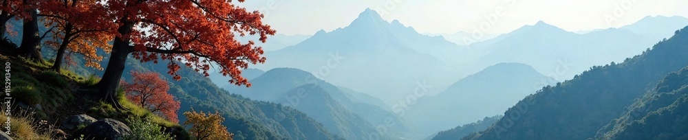 Tree branches stretching towards misty mountain peaks, fog, stretch Tree branches stretching towards misty mountain peaks, fog, stretch