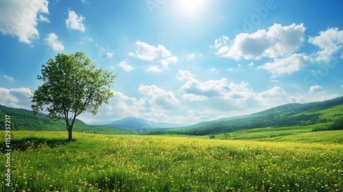 Serene landscape with lush green fields and a solitary tree under a bright blue sky with fluffy clouds and distant mountains.