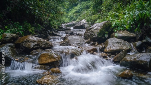 Scenic creek flowing through lush greenery in a mountainous landscape during an adventurous trekking experience