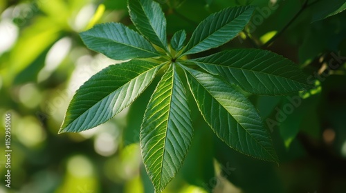 Close-up of vibrant green tree leaf showcasing intricate texture and natural beauty in a lush garden setting.