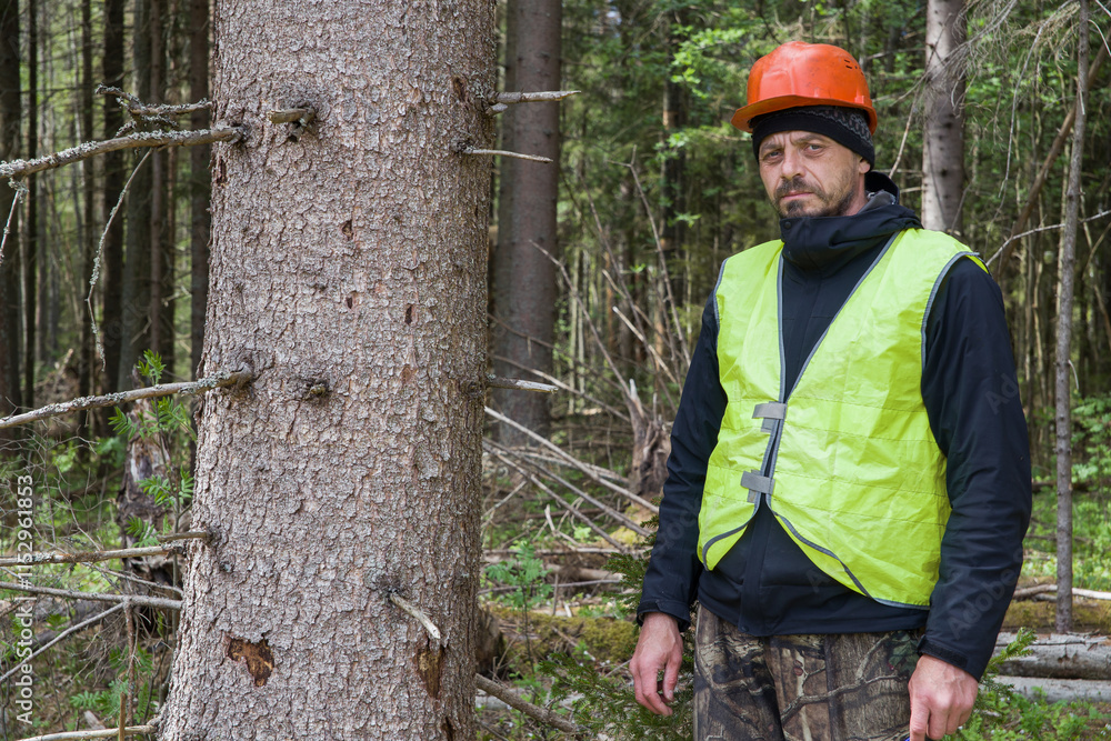 Obraz premium Forestry worker in work clothes.