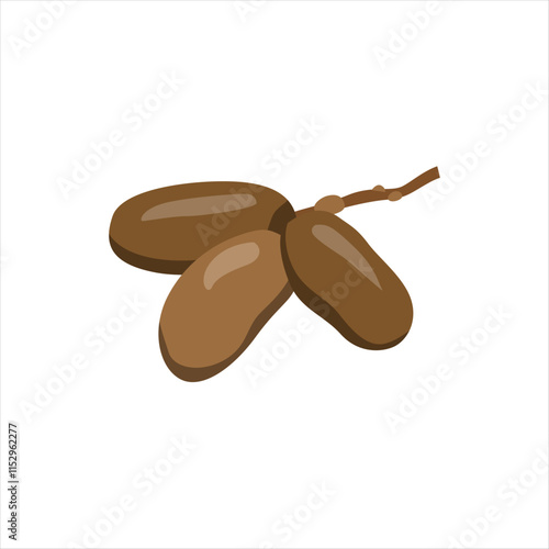 Detailed Date Palm Fruit Vector Design