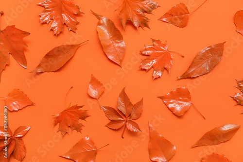 Beautiful autumn leaves on ...