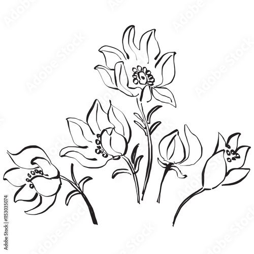 hand drawn flowers. Sprinh wild flowers. 