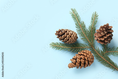 Pine cones and fir branch o...