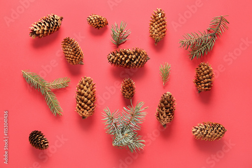 Pine cones and fir branches...
