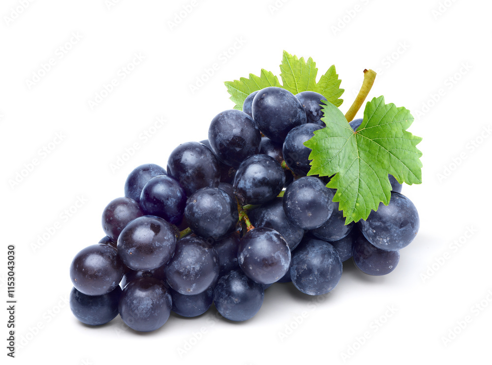 Black grape cluster with leaves isolated on white background. Clipping path. Black grape cluster with leaves isolated on white background. Clipping path.
