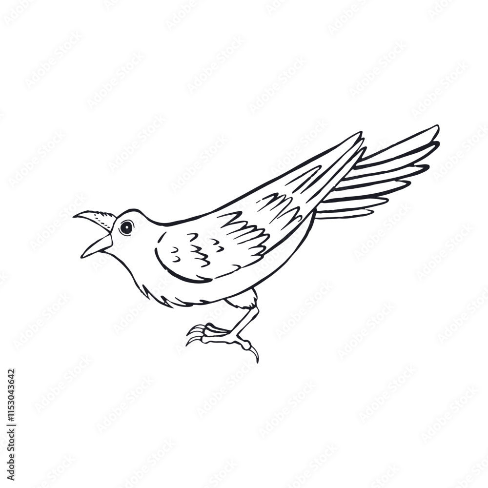 Fototapeta premium Hand drawn inky sketch style raven or crow isolated on white background. Mystic black and white bird croaking