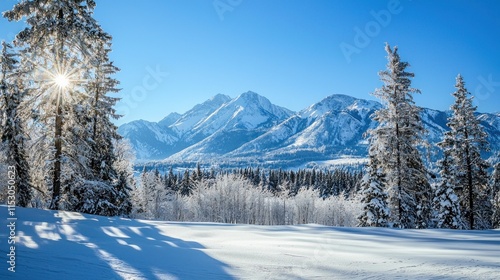 Wallpaper Mural Sunlit Winter Mountain Landscape With Snow Covered Trees Torontodigital.ca