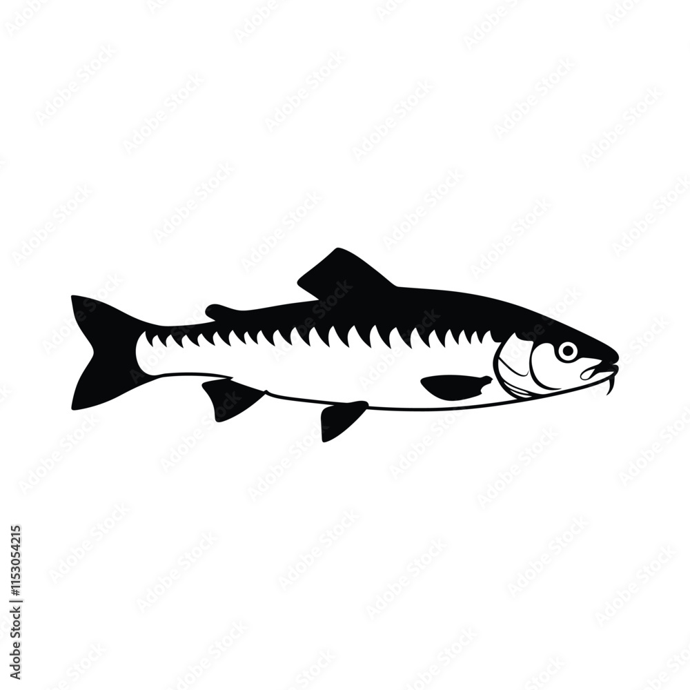 Obraz premium Black and white vector Chub fish