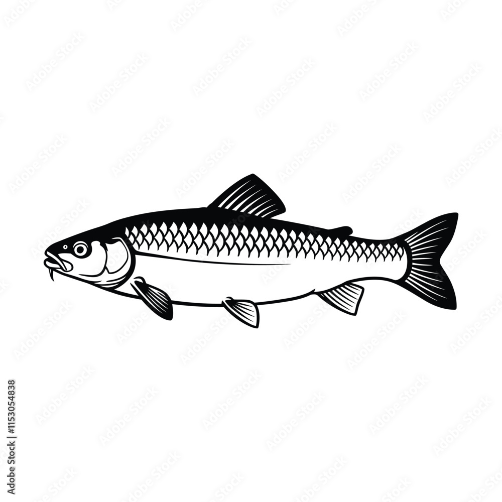 Obraz premium Chub fish silhouette vector graphic. 