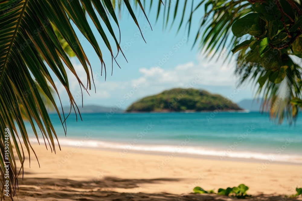 Tropical beach scene viewed through palm fronds. (24) Tropical beach scene viewed through palm fronds. (24)