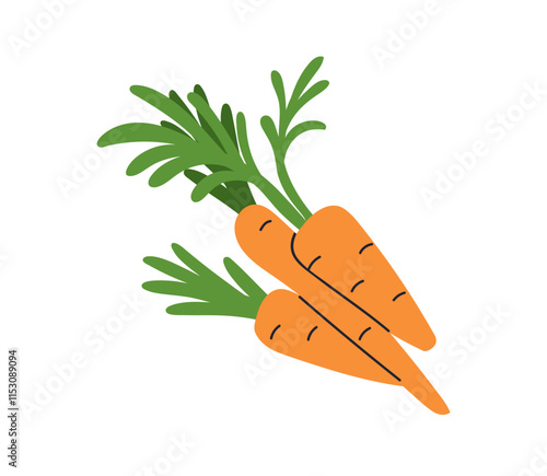 Fresh carrots with green leaf tops. Crunchy orange root vegetables, vitamin farm crop, fresh carotene food. Organic healthy natural harvest. Flat vector illustration isolated on white background