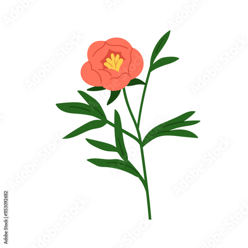Peony flower. Floral branch, garden stem. Elegant delicate bloom with gentle ...