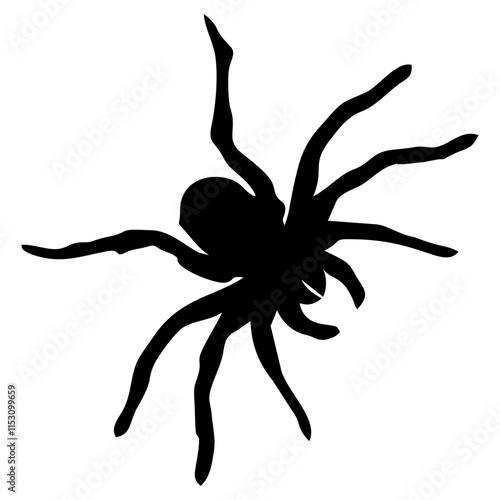 BLACK SILHOUETTE OF SPIDER INSECT