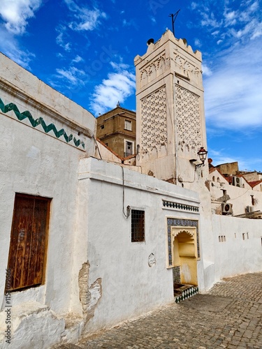 Panoramic view of the “Sidi Ramdane ” Mosque in the Casbah of Algiers. Algeria