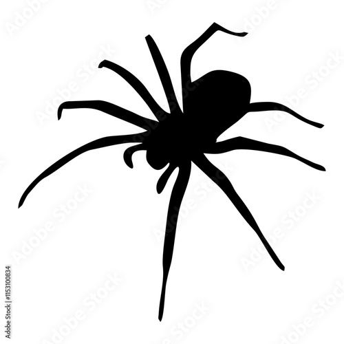 BLACK SILHOUETTE OF SPIDER INSECT