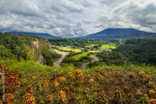 landscape of the mountains with trees and flowers, part 1