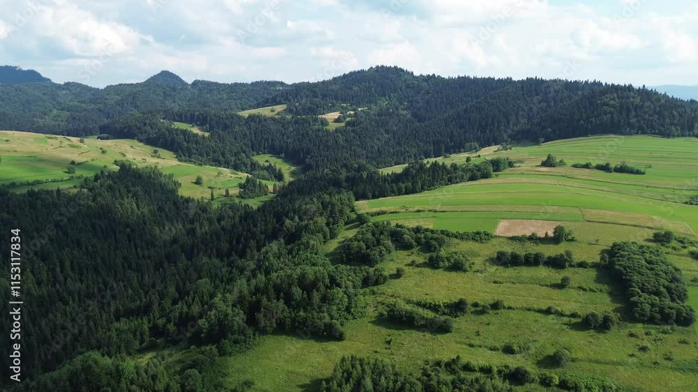 Scenic forest park in mountains, captured by drone in bright morning Scenic forest park in mountains, captured by drone in bright morning