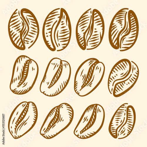 Coffee beans vintage illustration. Coffee beans doodle collections. Coffee beans illustration ideal for packaging.