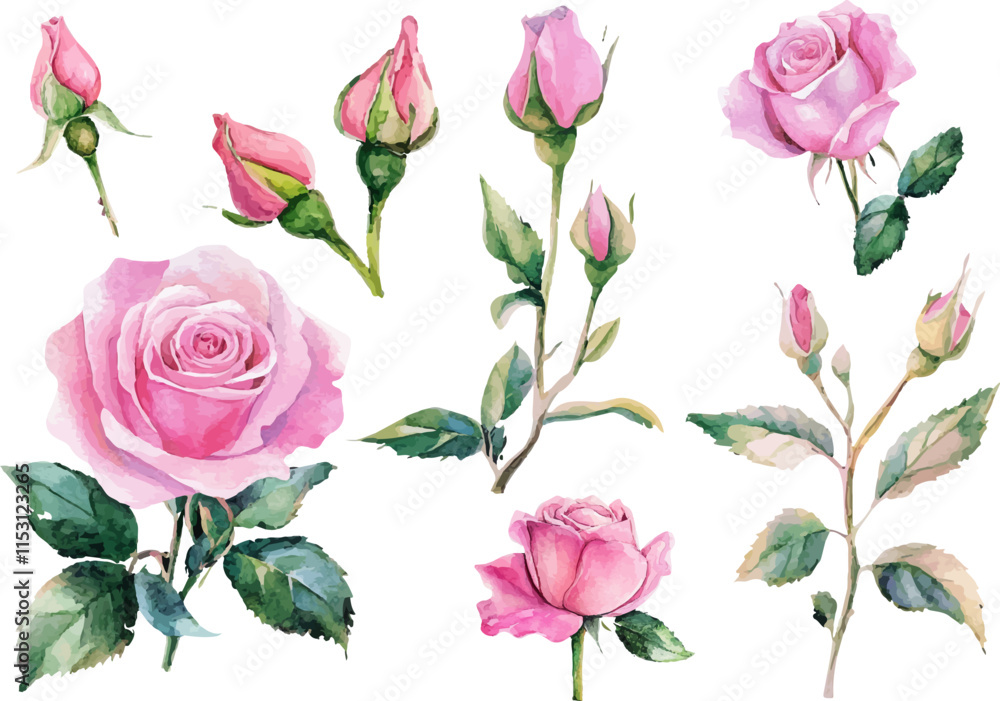seamless pattern with pink roses seamless pattern with pink roses