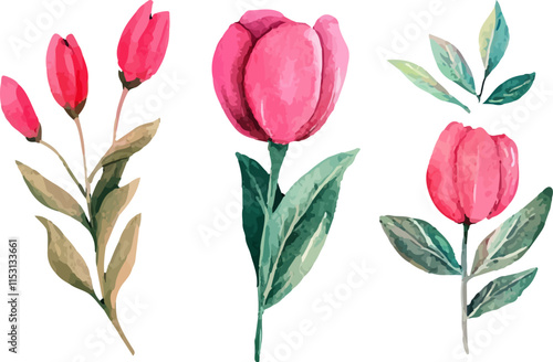 bouquet of tulips