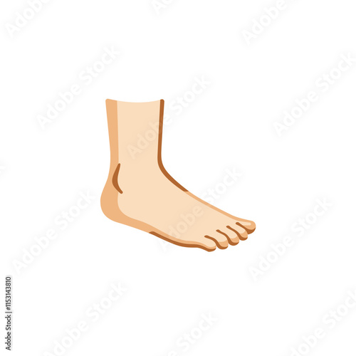 Human Foot Illustration

