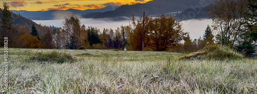 Wallpaper Mural The landscape of Carpathian Mountains in the sunny weather. Perfect weather condition in the autumn season Torontodigital.ca