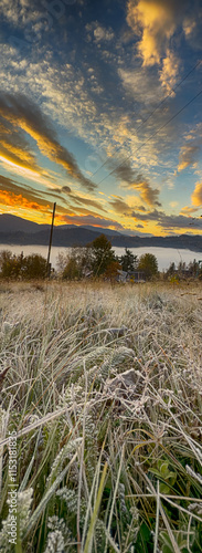 Wallpaper Mural The landscape of Carpathian Mountains in the sunny weather. Perfect weather condition in the autumn season Torontodigital.ca