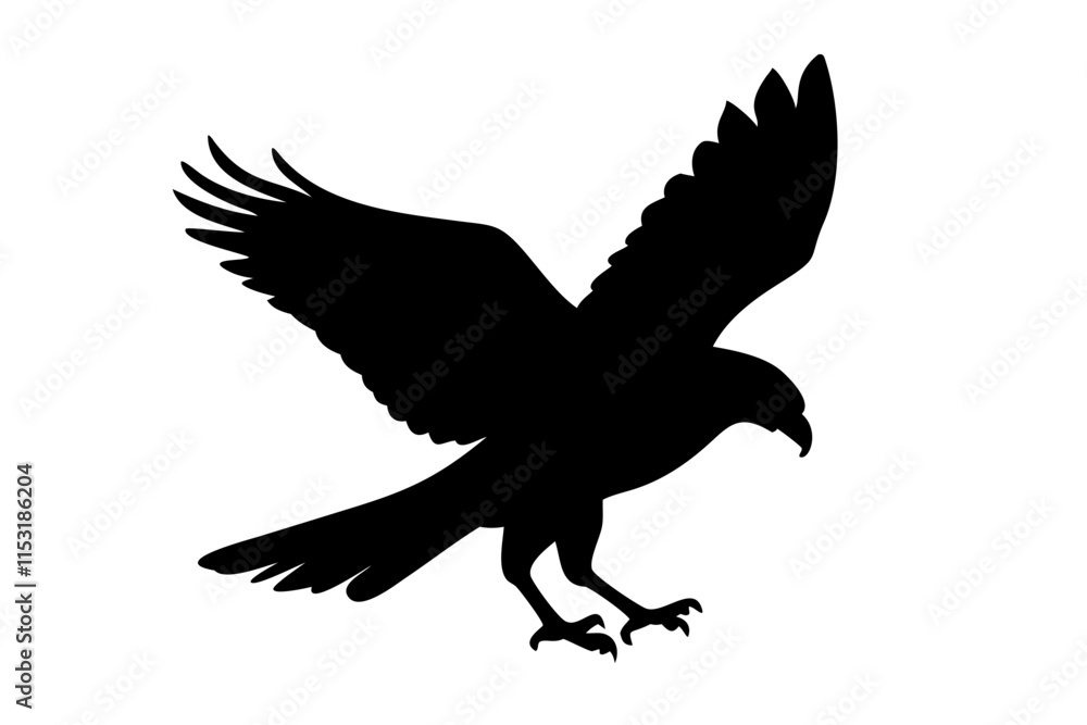 Obraz premium Hawk silhouette