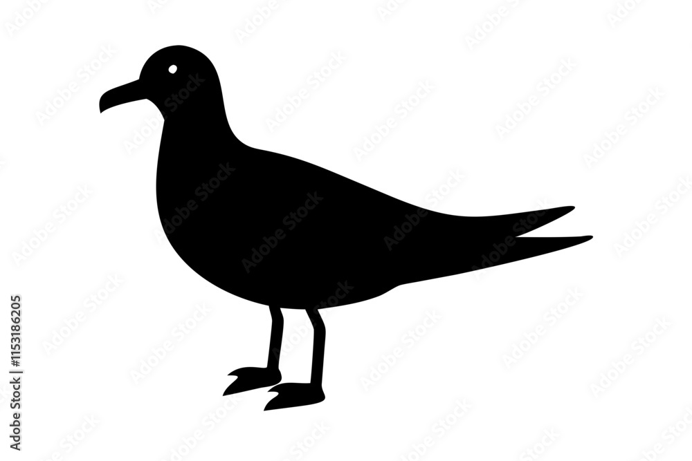 Obraz premium Gull silhouette