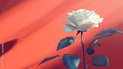 Single White Rose