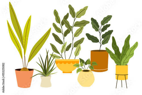 Potted house plants composition. Home and office interior houseplants. Modern green leaf, succulent, cactus decoration in planters, flowerpots. Flat vector illustration isolated on white background