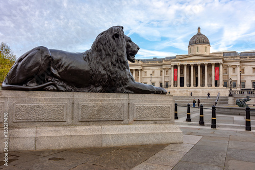 Trafalgar square lion at Nelson column with National Gallery at background, London, UK photo