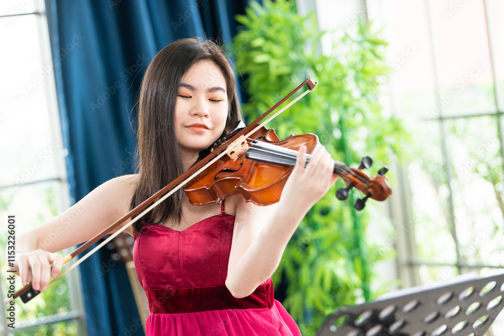 Violinist woman : Portrait of a young female playing the violin. Violinist woman : Portrait of a young female playing the violin.
