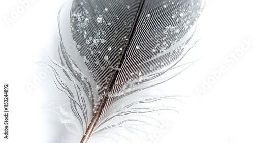 3D render close-up of a feather frozen in ice, with intricate frost patterns along its strands, isolated on white background, ultra-sharp 8K photo