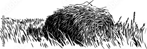 Vintage woodcut illustration depicting a bundle of hay in a grassy field setting