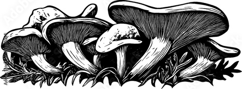 Vintage woodcut illustration showcasing a cluster of mushrooms in intricate detail