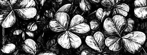 Vintage woodcut illustration depicting a lush patch of clover situated in a natural setting