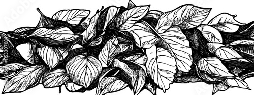 Vintage woodcut illustration capturing a detailed pile of autumn leaves in intricate design