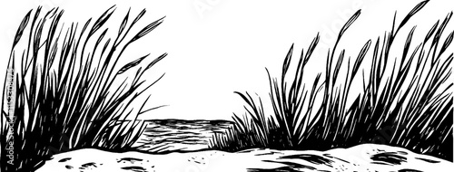 Vintage woodcut portrayal of a windswept beach with tall grass by the shore