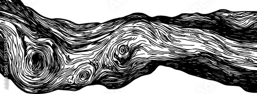 Detailed vintage woodcut illustration showcasing the intricate bark textures of a tree
