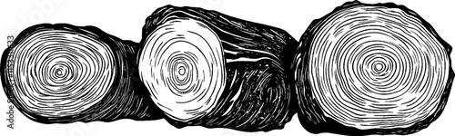 Vintage woodcut illustration showcasing detailed tree rings from various tree species