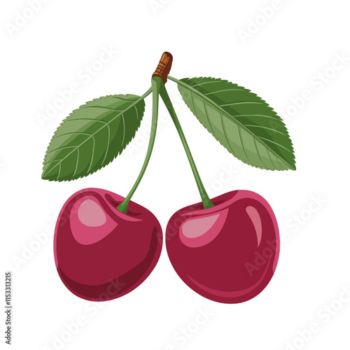 Cherry vector illustration