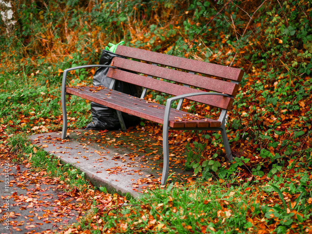 Bench in a forest park made of plastic brown color panels on metal frame, black plastic bag for rubbish is tied on a side. Fallen leaf scattered on the ground. Nobody. Calm autumn scene. Bench in a forest park made of plastic brown color panels on metal frame, black plastic bag for rubbish is tied on a side. Fallen leaf scattered on the ground. Nobody. Calm autumn scene.