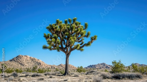 A vibrant green tree thriving in the desert with a clear blue sky in the background, symbolizing hope and resilience in nature.