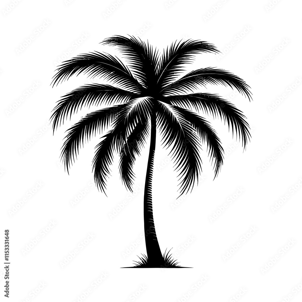 Fototapeta premium tal palm tree silhouette black color vector