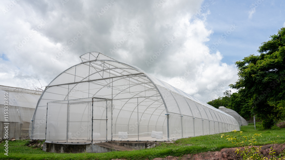 smart greenhouse vertical plant of hydroponics farm for background smart greenhouse vertical plant of hydroponics farm for background